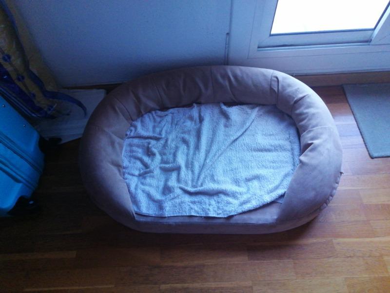 Trasporto scatoloni Barcellona-Milano