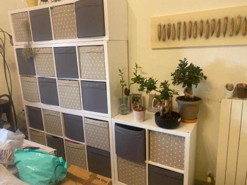 Mobili e arredamento 57025 Piombino LI - 38033 Cavalese TN